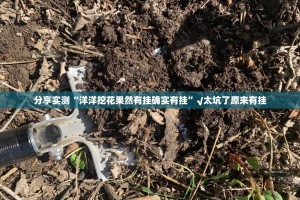 分享实测“洋洋挖花果然有挂确实有挂”√太坑了原来有挂