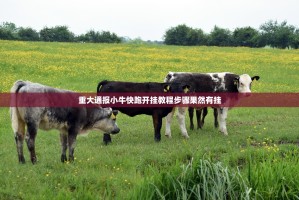 重大通报小牛快跑开挂教程步骤果然有挂