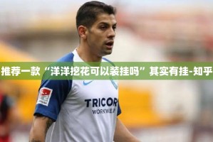 推荐一款“洋洋挖花可以装挂吗”其实有挂-知乎
