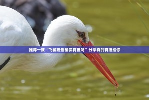 重磅.来袭BB棋牌开挂神器有没有挂√太坑了原来有挂