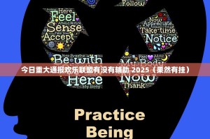 今日重大通报欢乐联盟有没有辅助 2025（果然有挂）