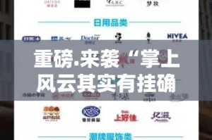 重磅.来袭“掌上风云其实有挂确实有挂”原来可以开挂