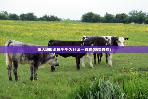 重大通报全民牛牛为什么一直输(确实有挂)