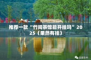 推荐一款“竹间茶馆能开挂吗”2025（果然有挂）