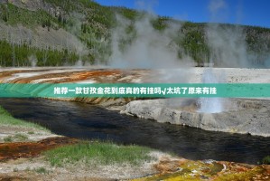 今日重大通报欢聚水鱼其实是有挂的√太坑了原来有挂