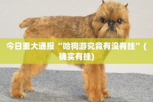 今日重大通报“哈狗游究竟有没有挂”(确实有挂)