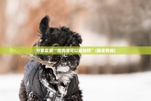 重磅.来袭衡阳丫丫竞技挂!详细开挂教程确实真的有挂