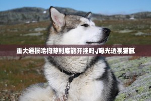 重大通报哈狗游到底能开挂吗√曝光透视猫腻