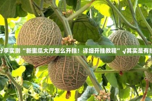 分享实测“新蜜瓜大厅怎么开挂！详细开挂教程”√其实是有挂