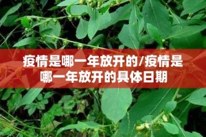 重磅.来袭叮叮娱乐开挂怎么使用的(其实真的能开挂)