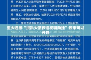 重大通报“拱趴大菠萝透视辅助挂”原来可以开挂