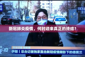 分享实测德州牛仔怎么开挂！详细开挂教程果然有挂