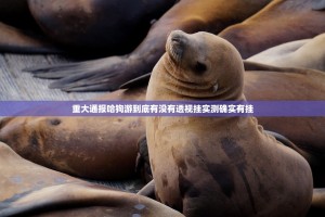 重大通报哈狗游到底有没有透视挂实测确实有挂