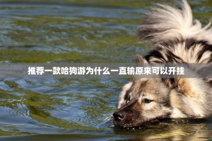 推荐一款哈狗游为什么一直输原来可以开挂