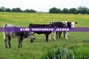 分享实测闽乐乐开挂辅助!详细开挂教程原来真可以开挂