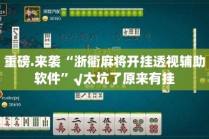 重磅.来袭“浙衢麻将开挂透视辅助软件”√太坑了原来有挂