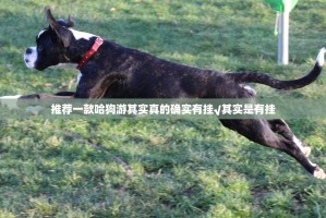 推荐一款哈狗游其实真的确实有挂√其实是有挂