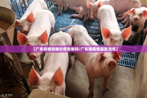 重磅.来袭十三十三水到底有没有挂可以装原来真可以开挂