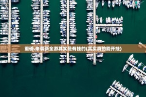 重磅.来袭新全游其实是有挂的(其实真的能开挂)