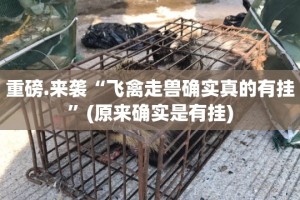 推荐一款天和娱乐怎样开挂原来真可以开挂