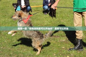 重磅.来袭荔枝竞技其实有挂确实是有挂(确实有挂)