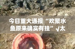 今日重大通报“欢聚水鱼原来确实有挂”√太坑了原来有挂