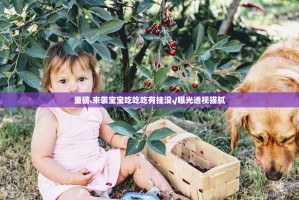 重磅.来袭家乡大贰助赢神器真的确实有挂
