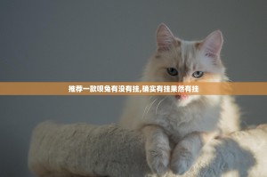 推荐一款呗兔有没有挂,确实有挂果然有挂