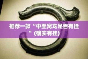 推荐一款“中至窝龙是否有挂”(确实有挂)