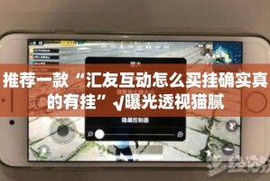 重磅.来袭万顺挂辅助工具其实确实有挂