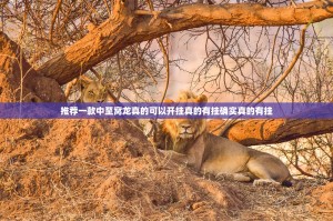 推荐一款中至窝龙真的可以开挂真的有挂确实真的有挂