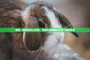 推荐一款呗兔怎么开挂！详细开挂教程@太坑了真的有挂