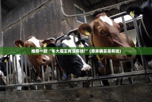 推荐一款浙衢麻将必赢神器(原来确实是有挂)