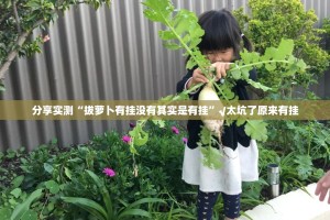 重磅.来袭麻辣竞技有没有挂确实果然有挂真的确实有挂