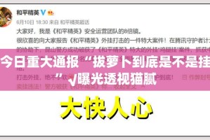 重大通报衢州都莱开挂软件方法(原来确实是有挂)