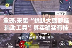 重磅.来袭“拱趴大菠萝挂辅助工具”其实确实有挂