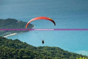 重磅.来袭鑫耀互娱原来确实真的有挂开挂神器