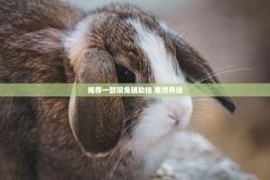 推荐一款呗兔辅助挂 果然有挂