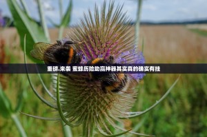 重磅.来袭 蜜蜂历险助赢神器其实真的确实有挂