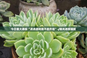 重磅.来袭翻阳翻精其实能开挂吗开挂神器
