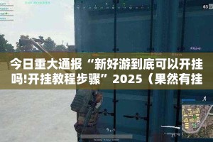 今日重大通报“新好游到底可以开挂吗!开挂教程步骤”2025（果然有挂）