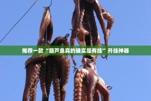推荐一款“葫芦鱼真的确实是有挂”开挂神器