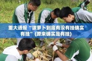 重大通报“拔萝卜到底有没有挂确实有挂”(原来确实是有挂)