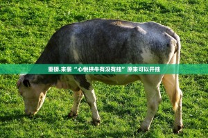 重磅.来袭欢聚3到底有没有挂可以装(真的有挂)-知乎