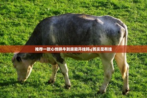 重大通报奉化同乡游软件开挂√其实是有挂