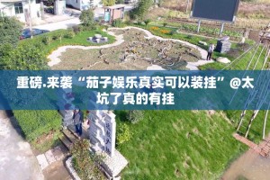重磅.来袭“茄子娱乐真实可以装挂”@太坑了真的有挂