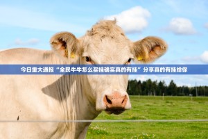 重磅.来袭公会联赛可以装挂吗原来真可以开挂