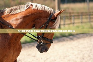 分享实测鑫耀互娱真的可以开挂真的有挂√确实真的有挂