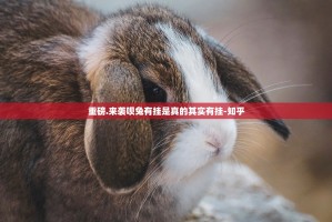 重磅.来袭呗兔有挂是真的其实有挂-知乎