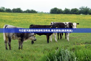 推荐一款八戒金花真的有挂吗确实有挂√确实真的有挂